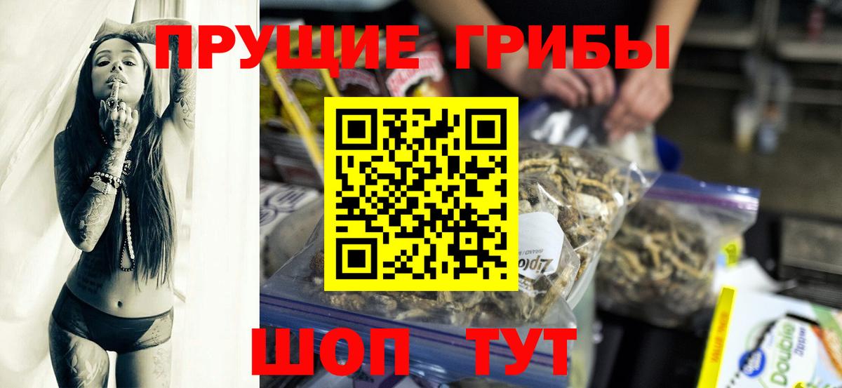 Тула  Галлюциногенные грибы Magic Shrooms  Вход с VPN 
